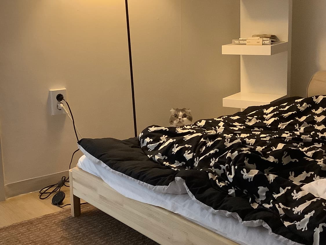키티버니포니 플레인 해피 버니 이불 커버 퀸사이즈 duvet cover 상품이미지1