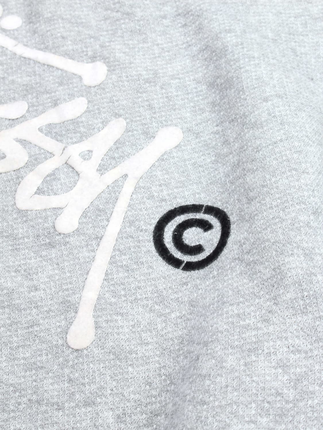 STUSSY X CHAMPION (L) 상품이미지5