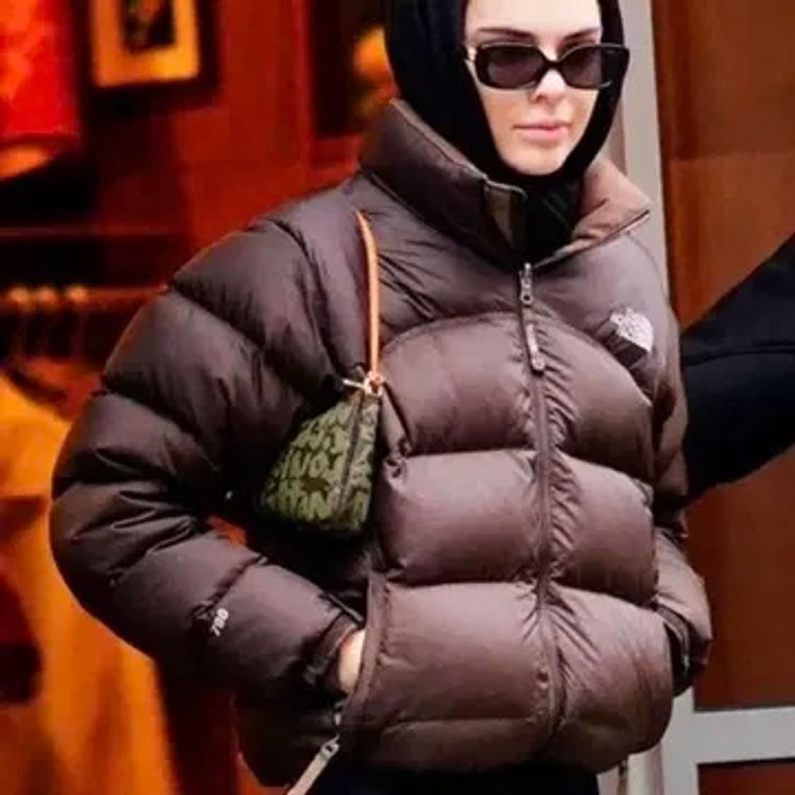 The north face 노스페이스 700 눕시 조끼패딩 브라운M 상품이미지1