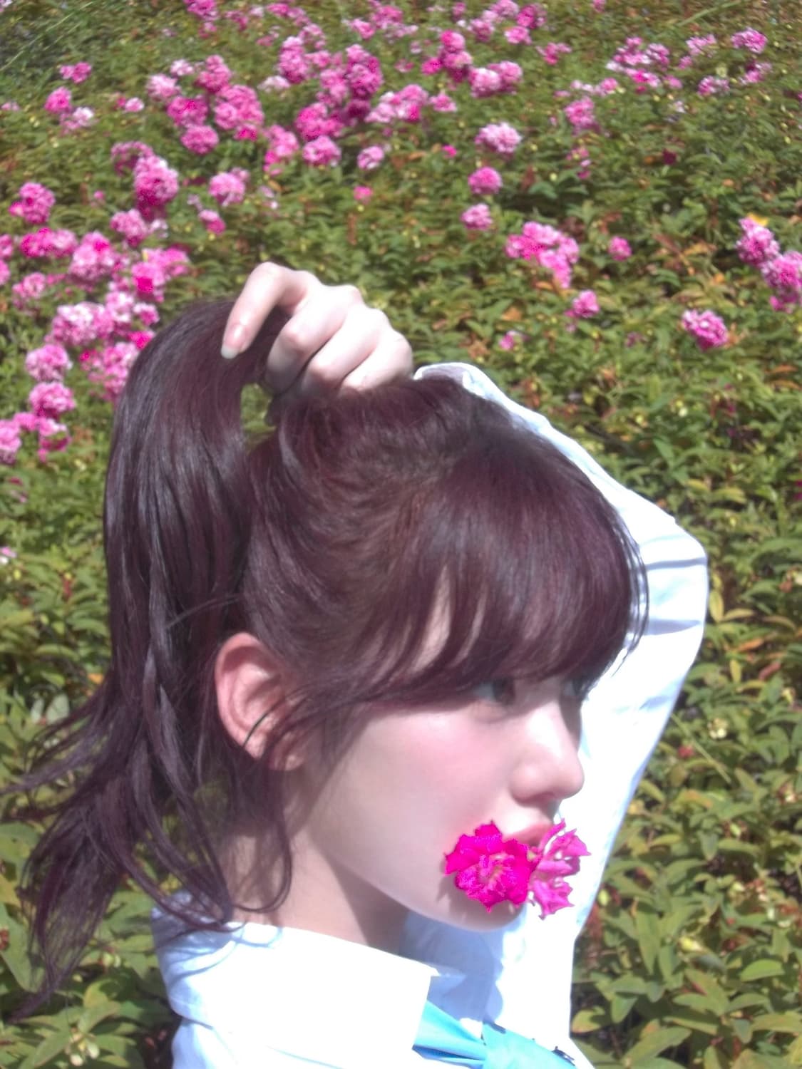 (디카 대여) 키키 Kodak easyshare 코닥 이지쉐어 c143 상품이미지7