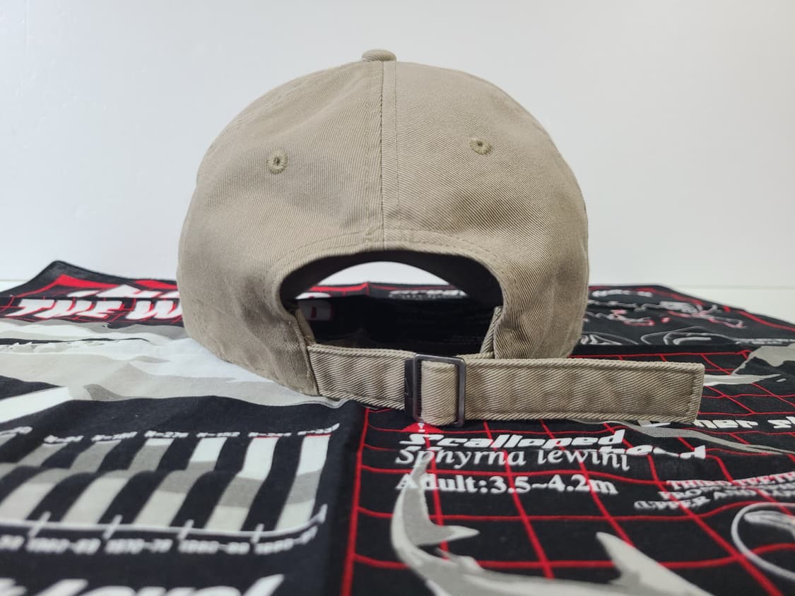 (L XL) (대두) 나이키 베이지 모자 상품이미지5