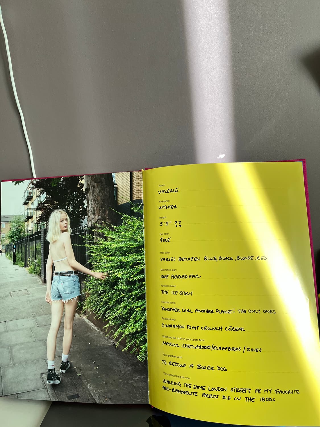 DYE YOUR HAIR WITH Kool-Aid 포토북 상품이미지5