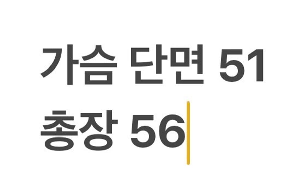 [정품/M] 타이틀리스트 경량 패딩 베스트 b18 상품이미지9