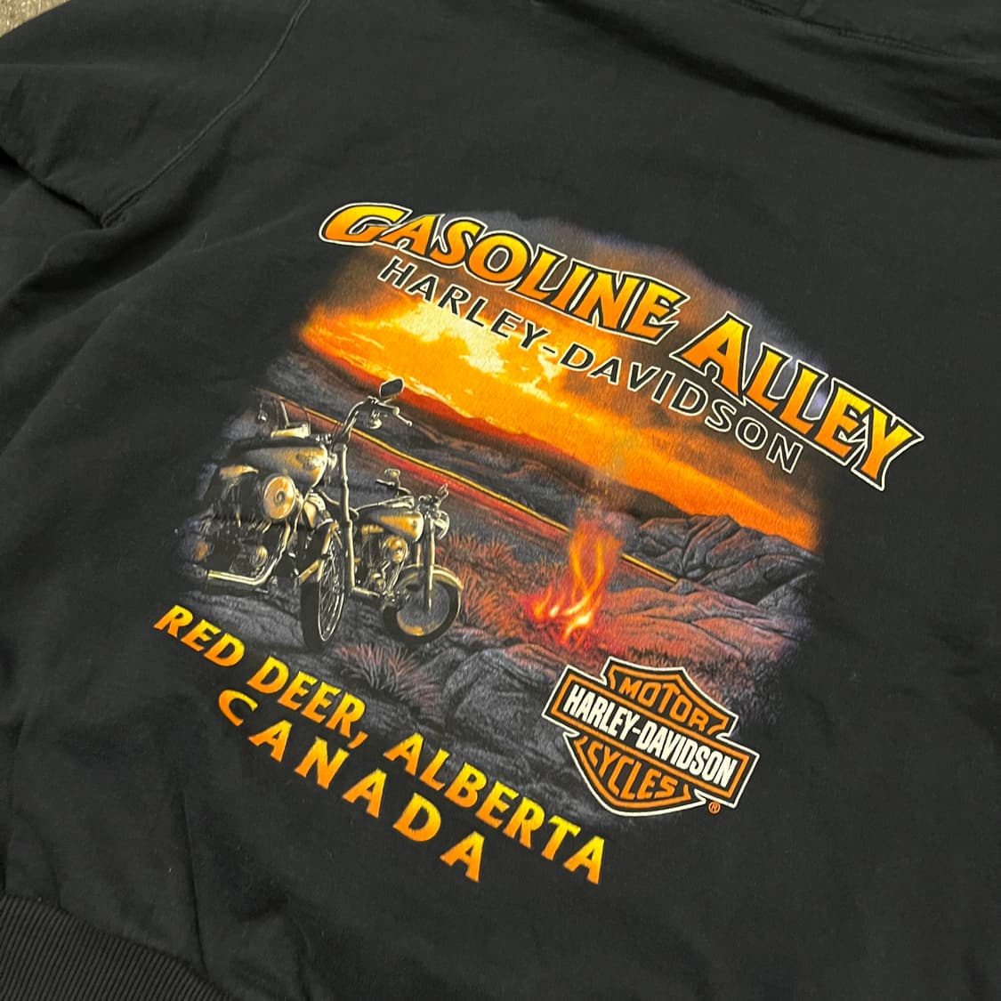 할리데이비슨 플레임 후드 집업 (100) 상품이미지4