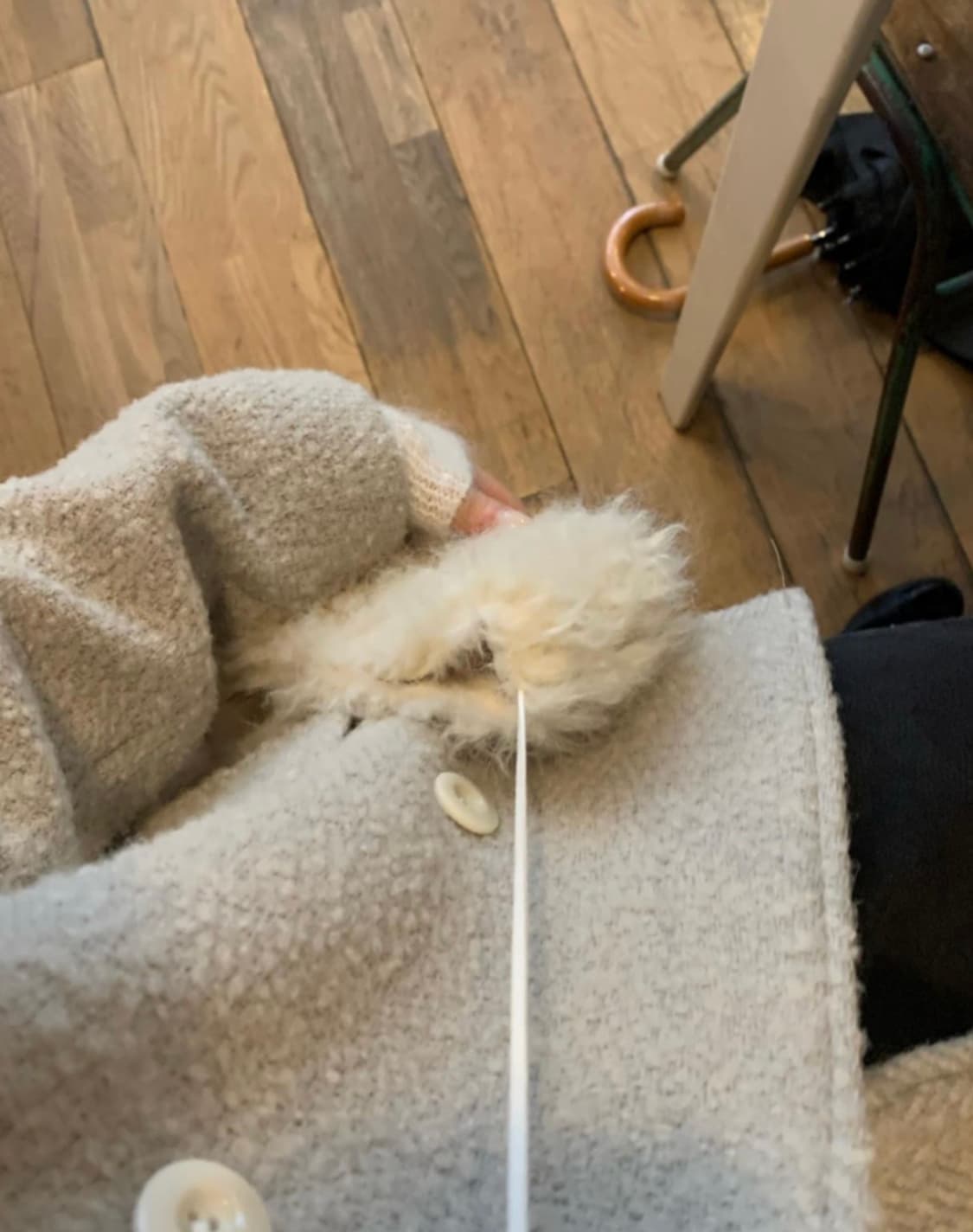 리에뜨riette 베이프 자켓 상품이미지4