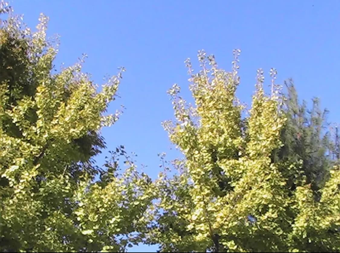 득템가/ 작례 o / Jvc Mg40 빈티지 캠코더 카메라 상품이미지6