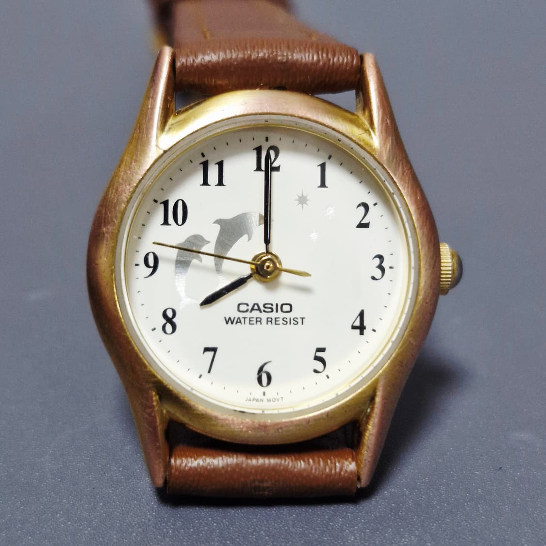 카시오 여성 돌고래 시계 상품이미지4