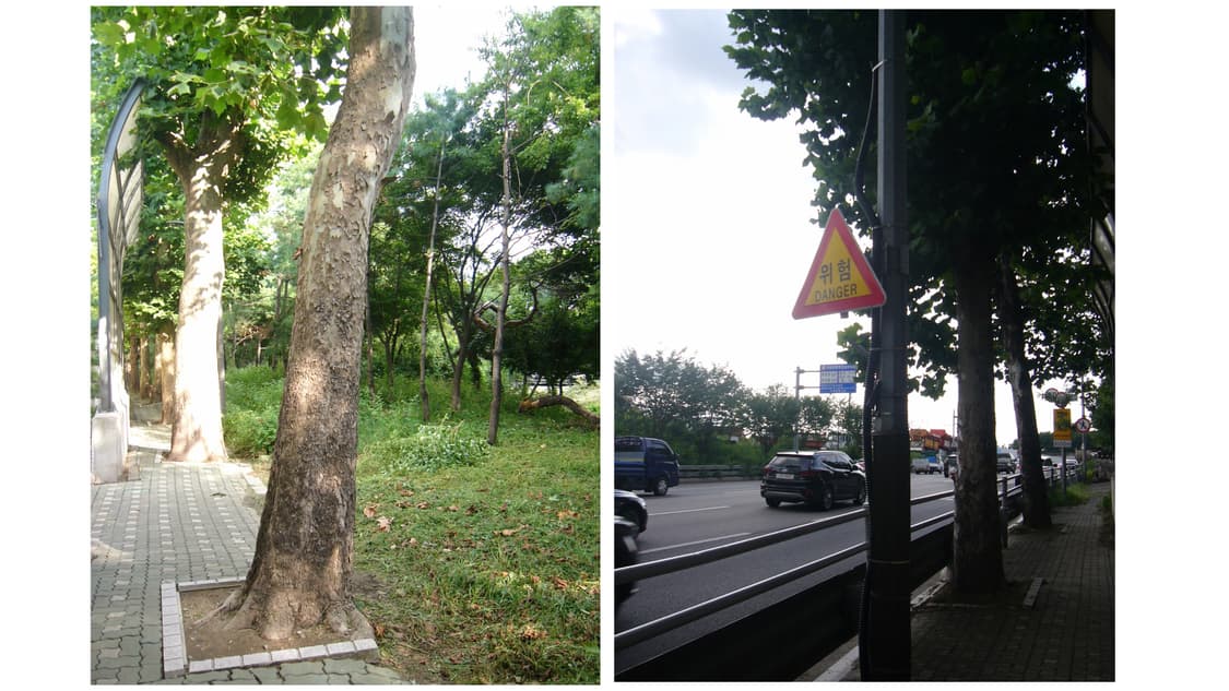 Panasonic lumix FX5 파나소닉 디지털카메라 상품이미지4