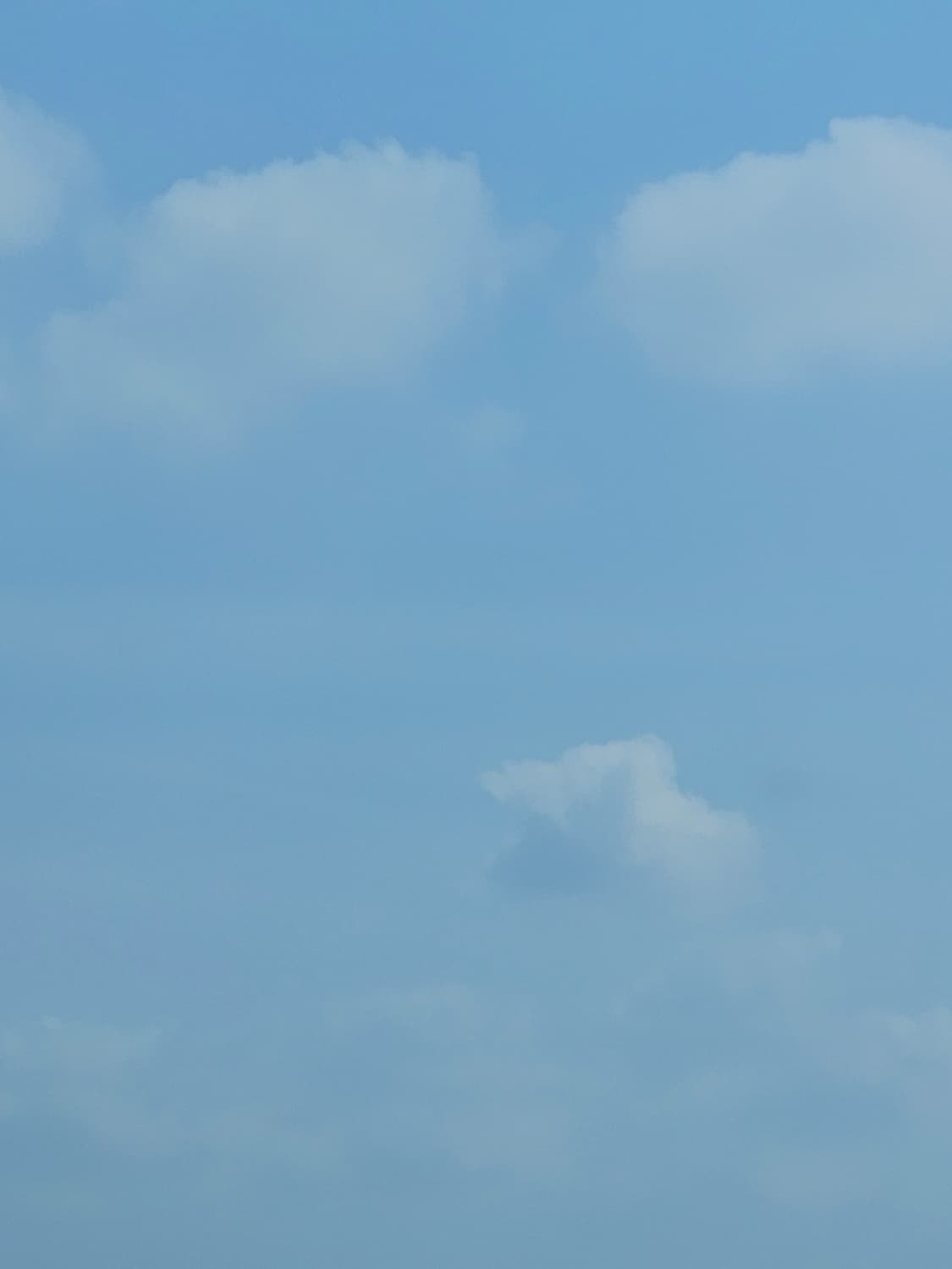 꼼데 후드집업 회색 구매 합니다 상품이미지1