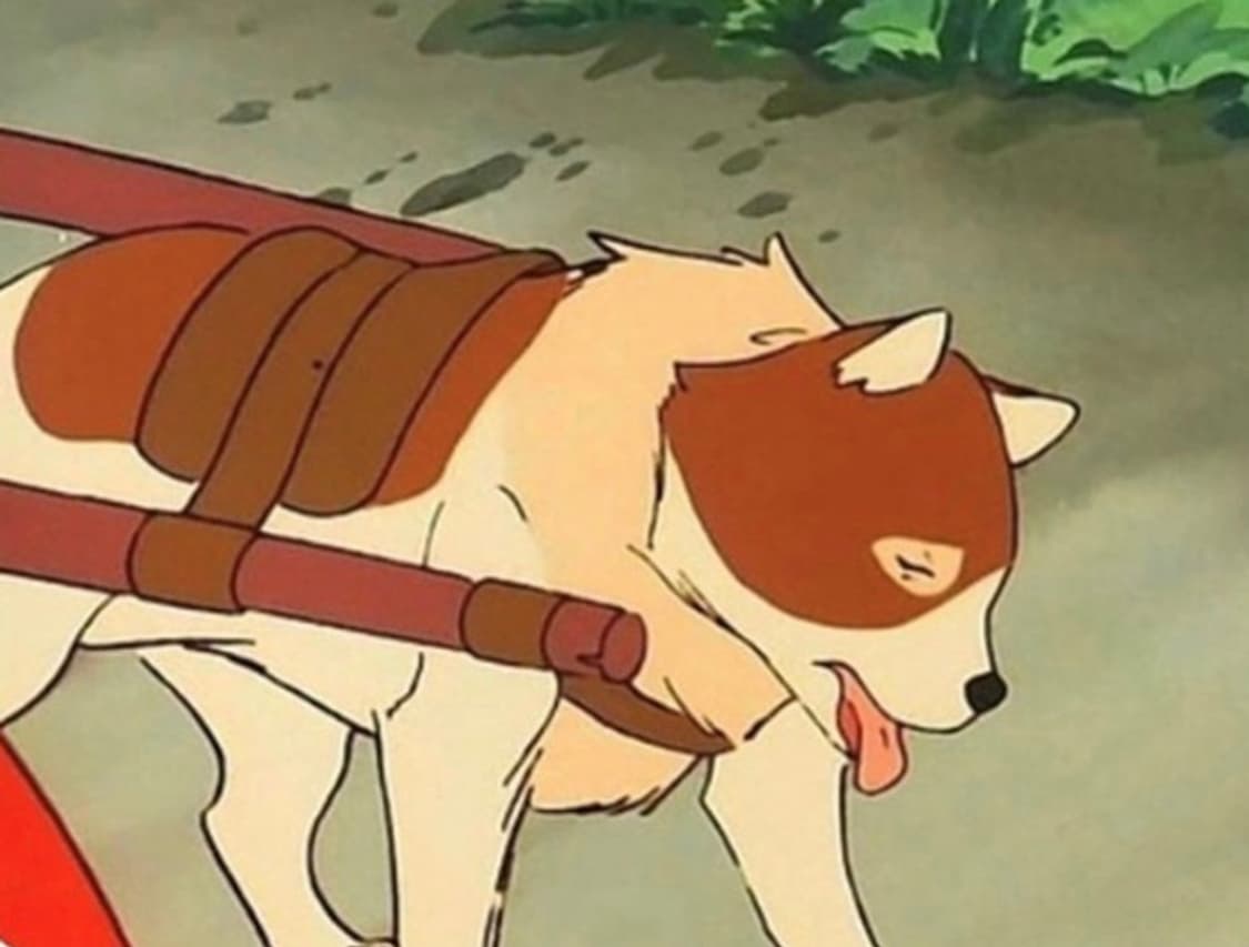 아프레쎄 후드집업 그레이(3,4사이즈 삽니다) 상품이미지1