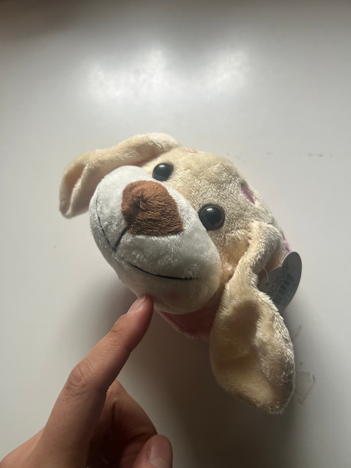 강아지 휴대폰 거치대 상품이미지2