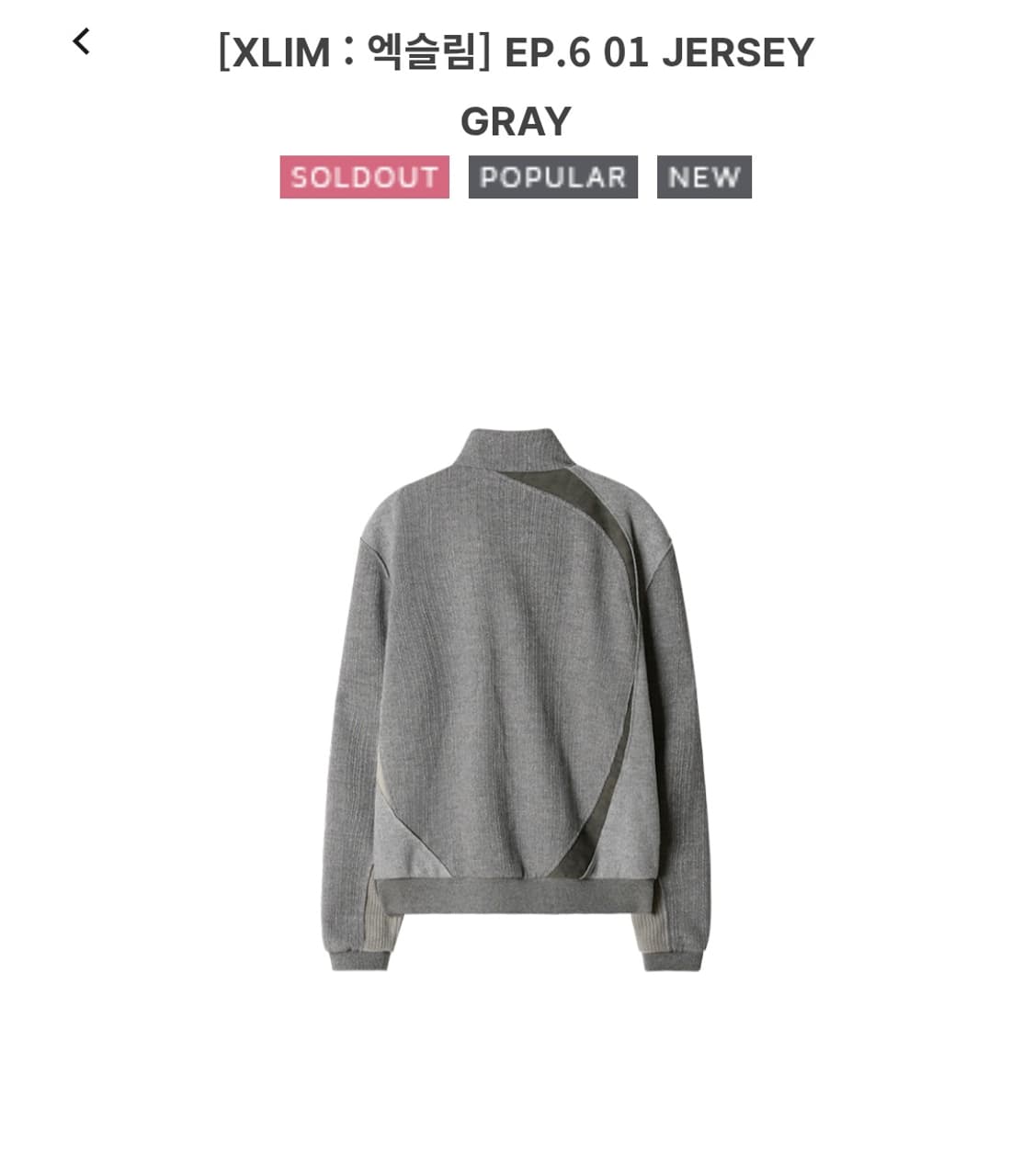 XLIM EP6 JERSEY GRAY 상품이미지2