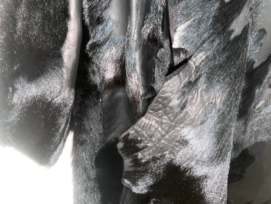 텐쎄이오또 상품이미지1