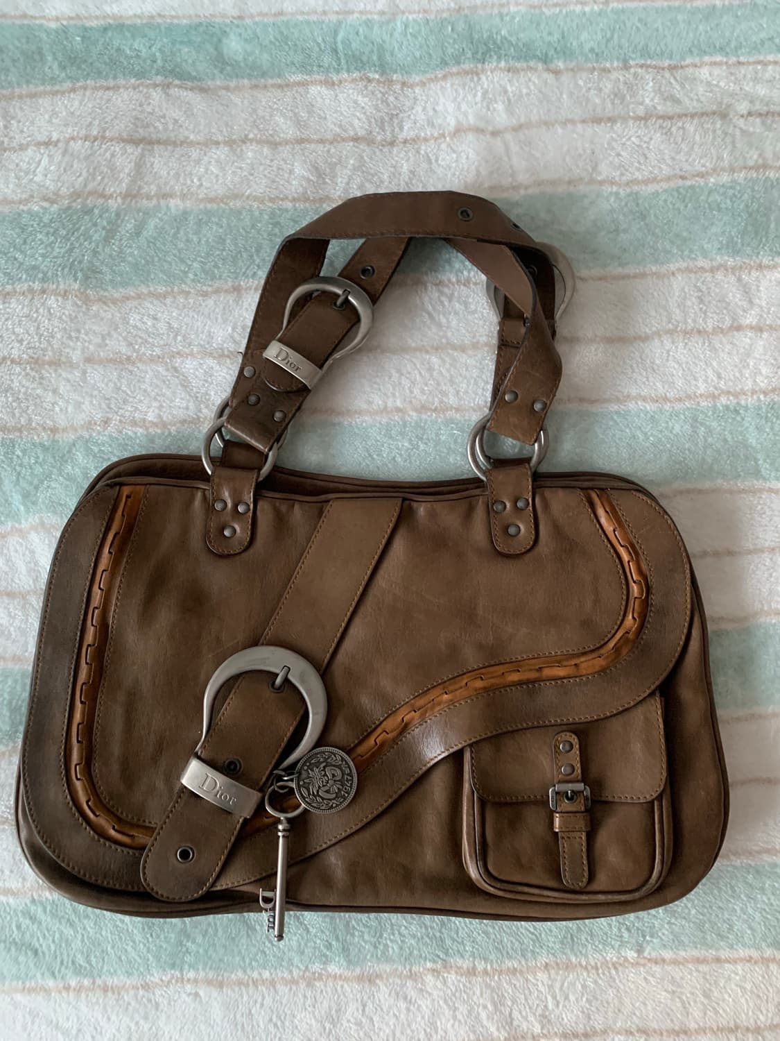 디올 가우초백 상품이미지1