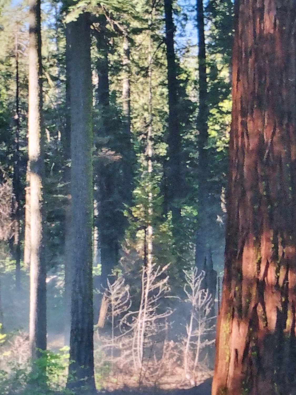 Kiran 님 상품이미지1