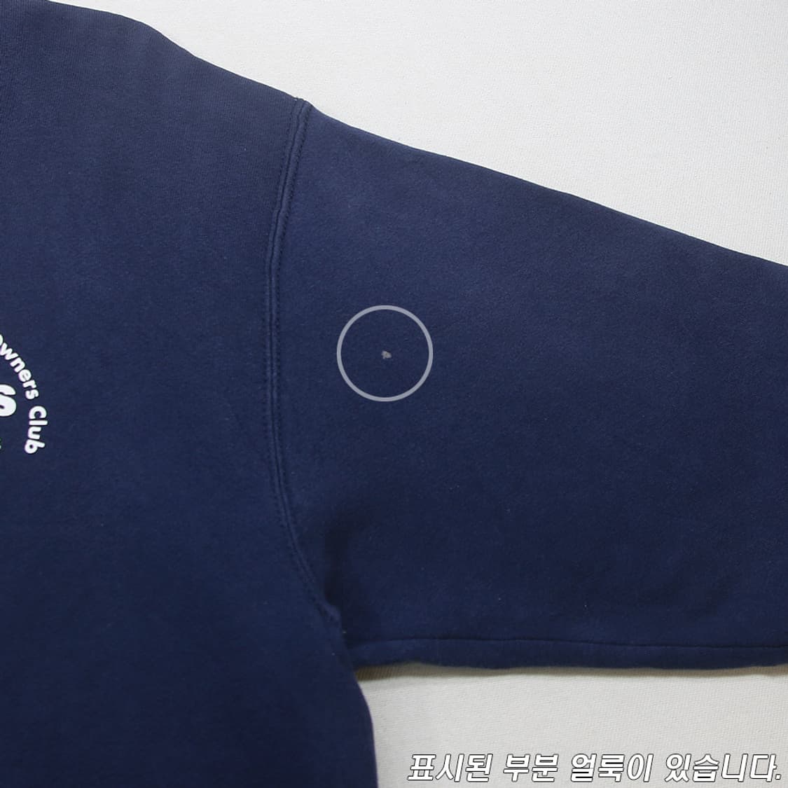 (착용컷) FRUIT OF THE LOOM 스웻 셔츠 (남성용 105) 상품이미지6