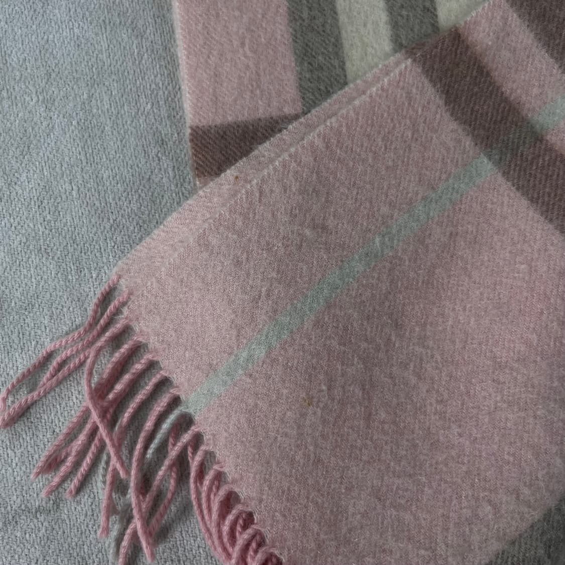 버버리 노바체크 캐시미어 핑크 머플러 상품이미지5