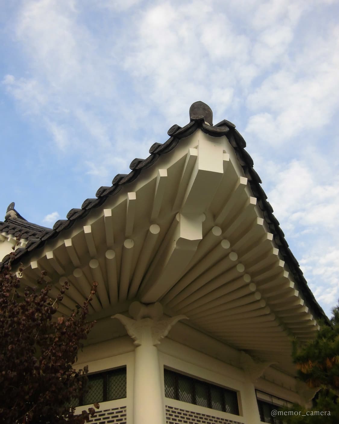 노란기 없는 뽀용작례✨CASIO EX-ZS6 카시오 디카 카메라 상품이미지9