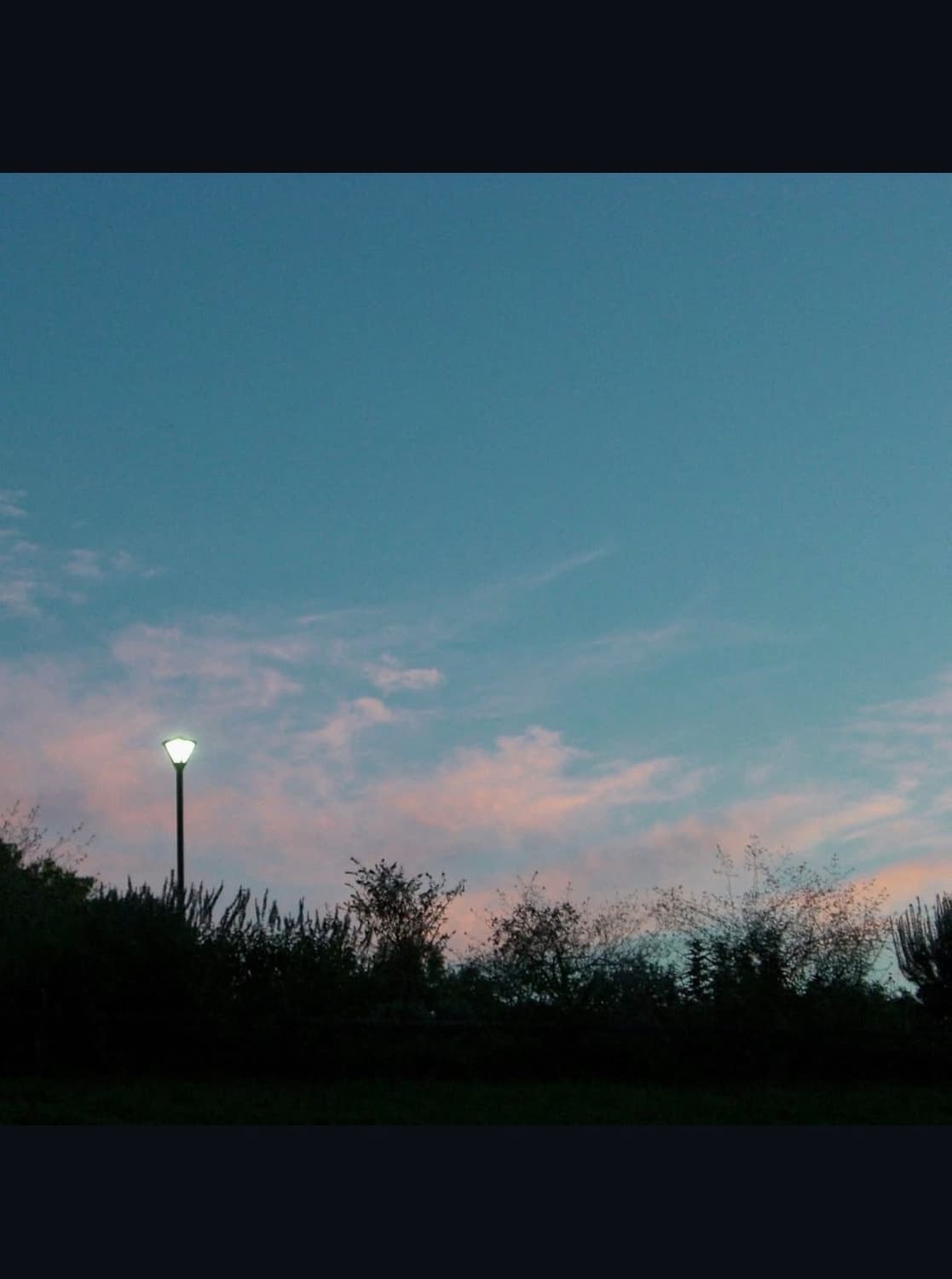 카시오 ex z600 디지털카메라 상품이미지9