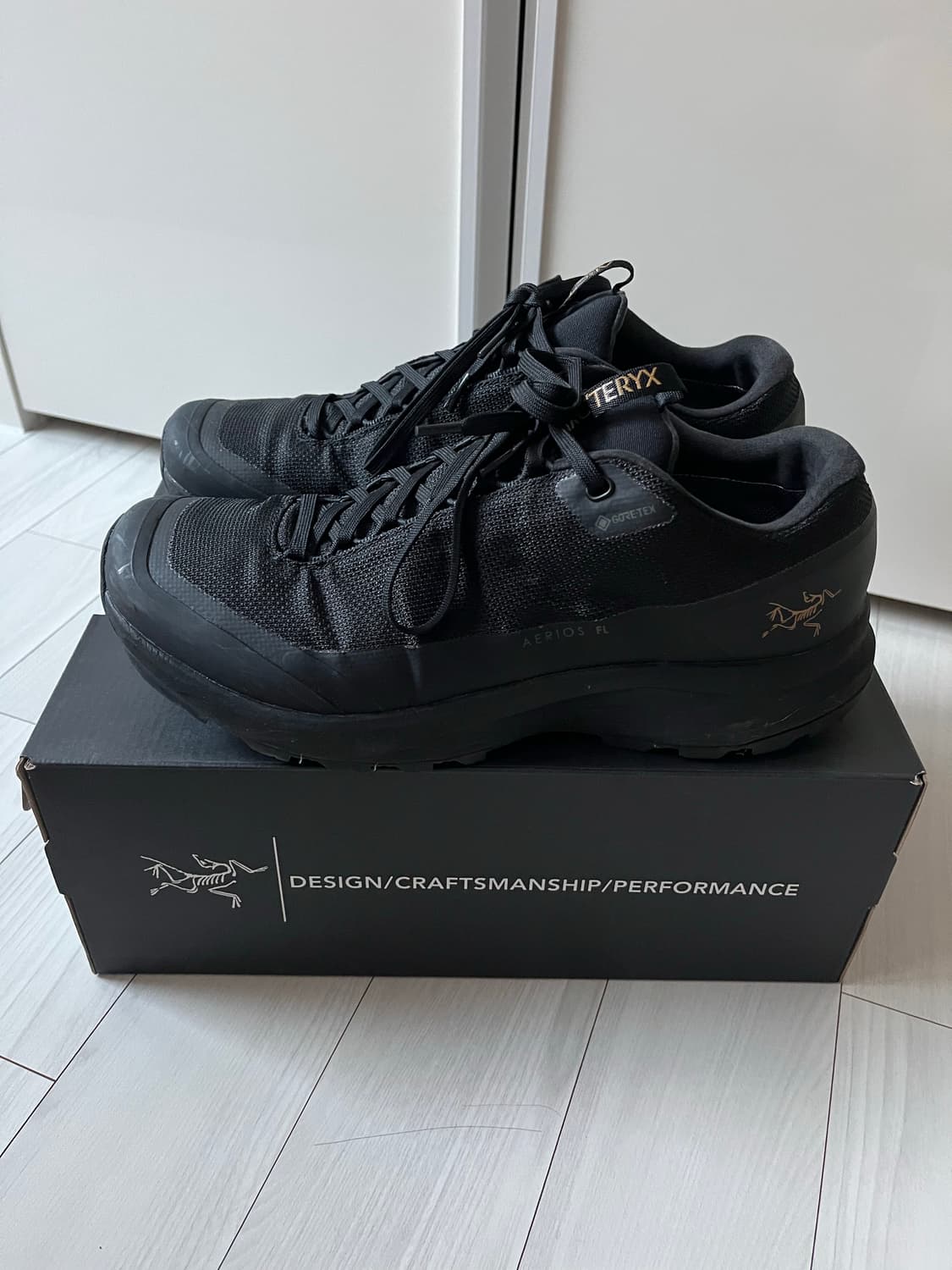 아크테릭스 에어리어스 GTX 블랙 260 상품이미지3