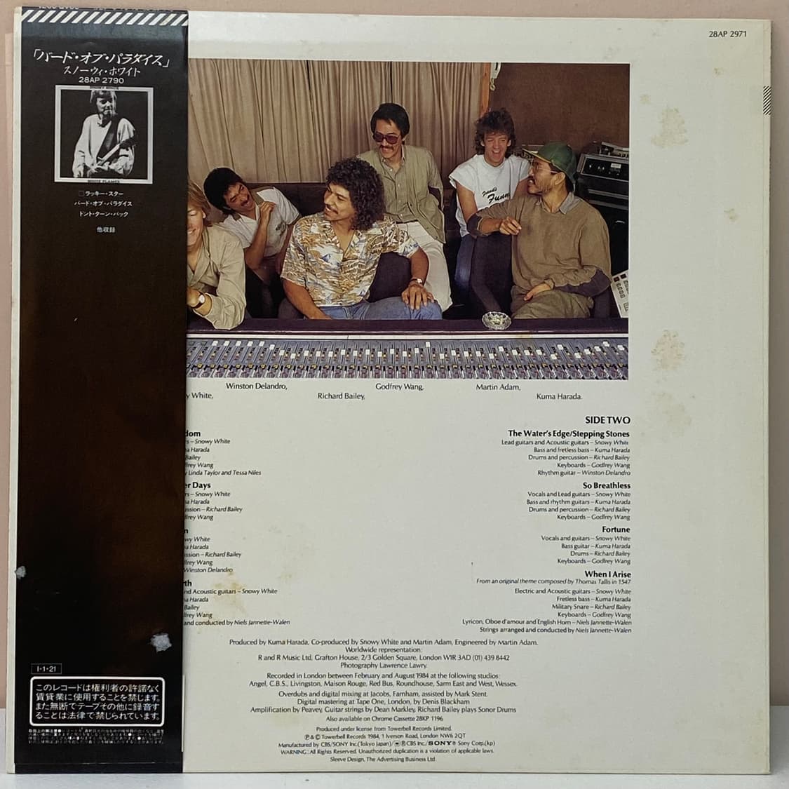 (LP-초민트시리즈) Snowy White - White Flames 상품이미지2