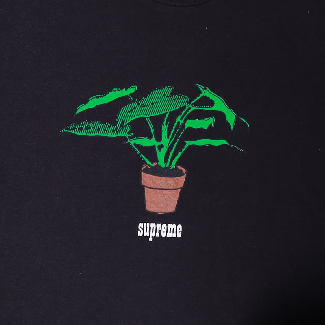 Supreme 슈프림 17FW 플랜트 반팔 티셔츠 블랙 XL 상품이미지2