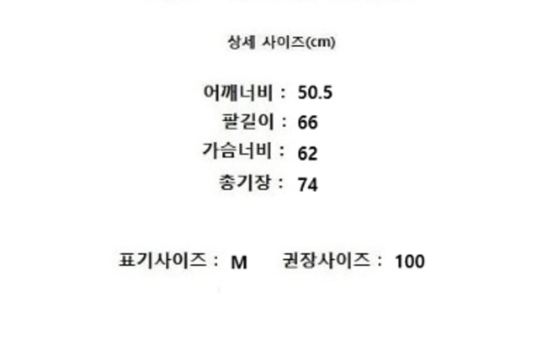 carhartt 상품이미지10