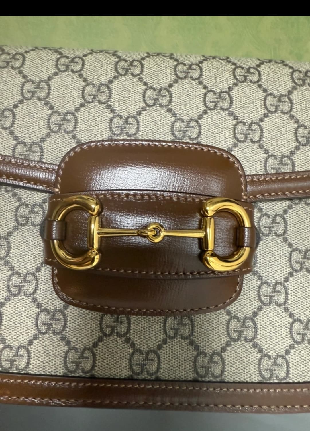 구찌홀스빗 상품이미지2