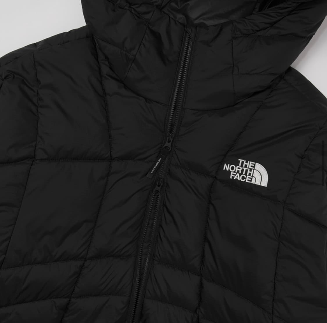 새상품) 노스페이스 웨이브 LT 온 자켓 상품이미지3