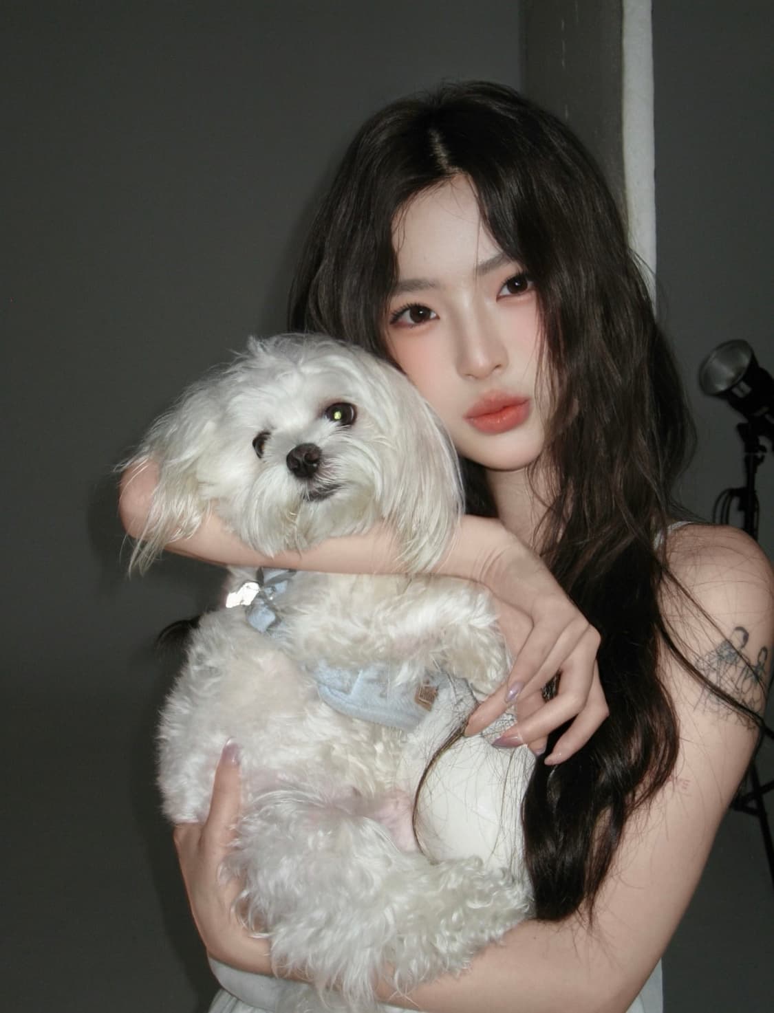 캐논 익서스 860 CANON IXUS 860 빈티지 디지털카메라 디카 상품이미지2