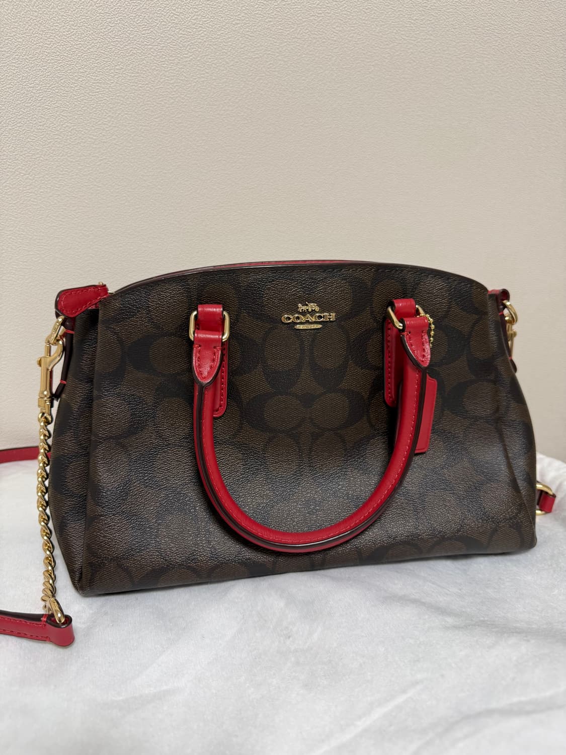 코치 미니 세이지 크로스백 상품이미지1