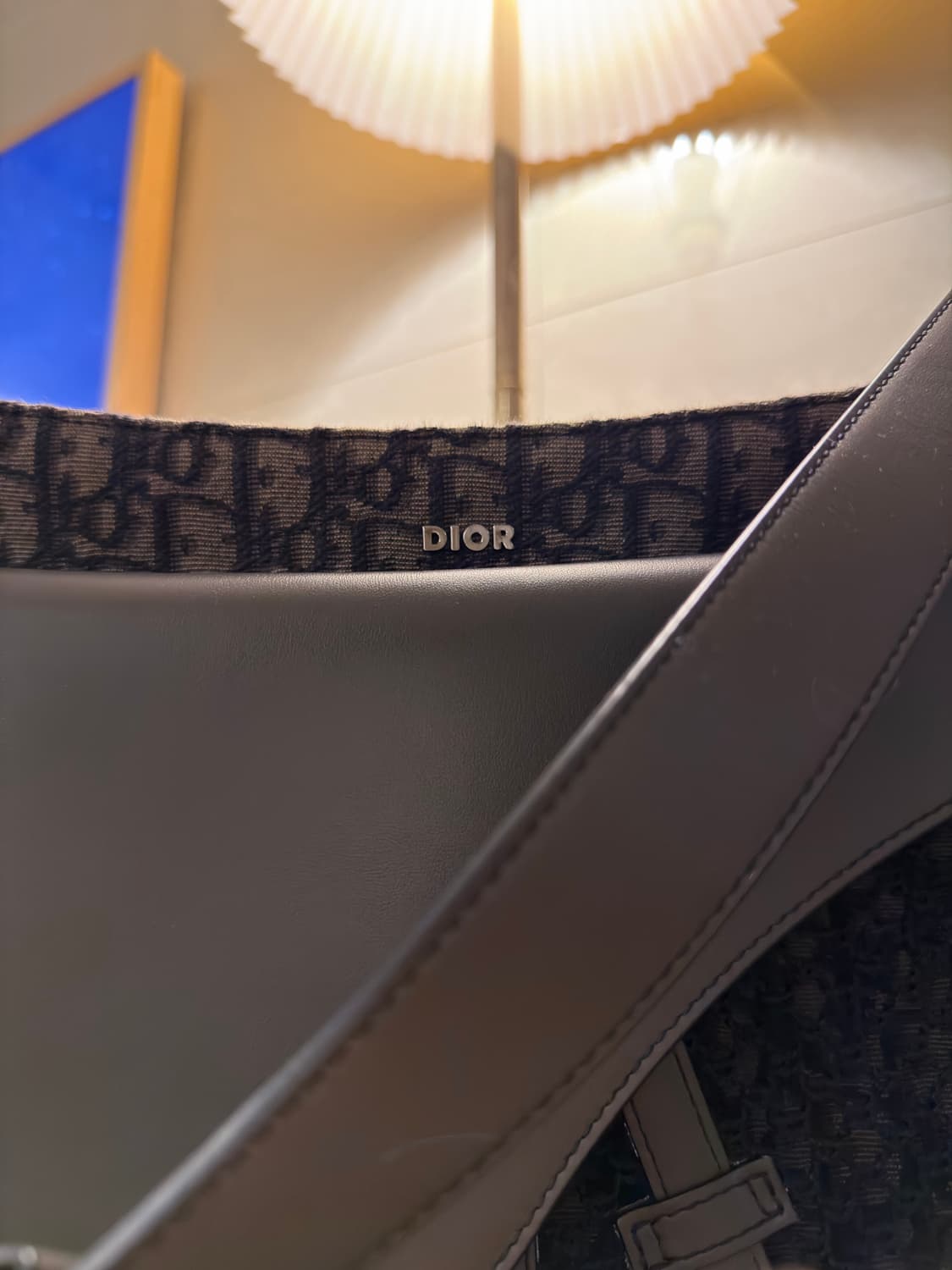 디올 오블리크 새들백 다크브라운  상품이미지2