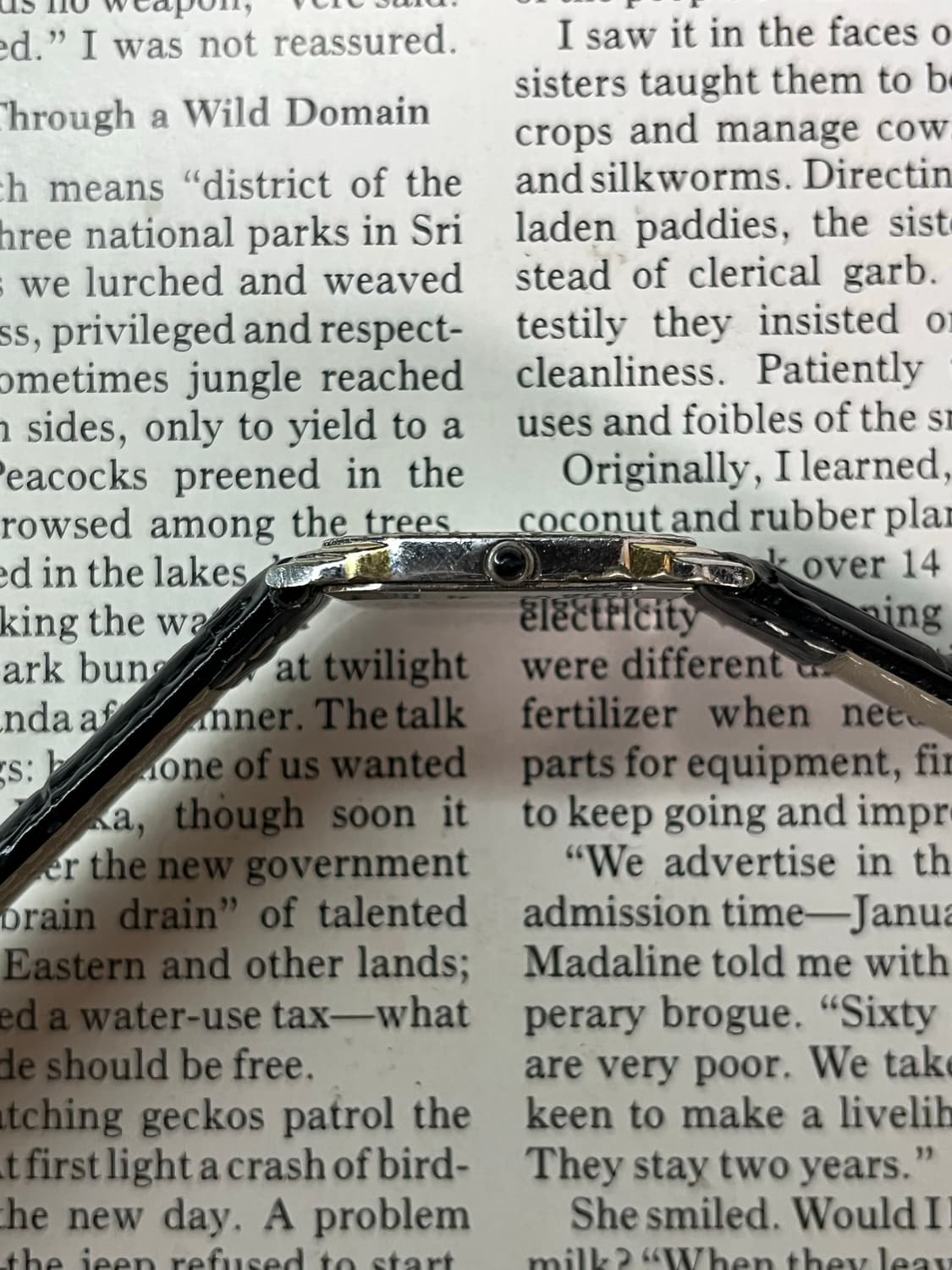 SEIKO DOLCE 쿼츠 상품이미지6