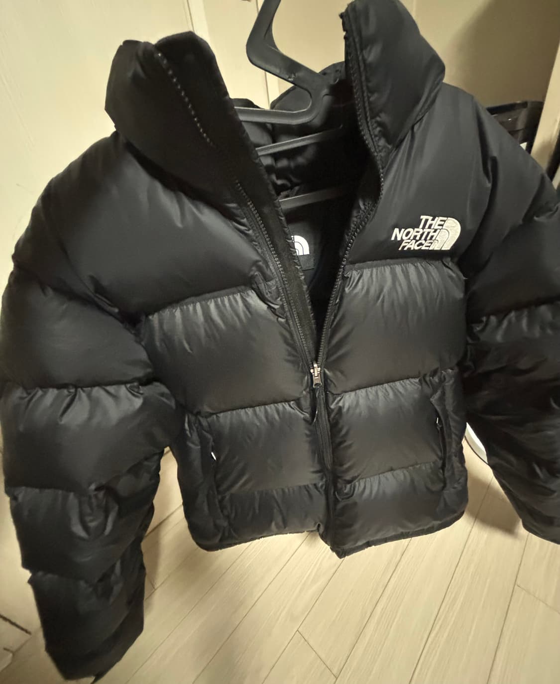 노스페이스 눕시 1996에코(L) 상품이미지1