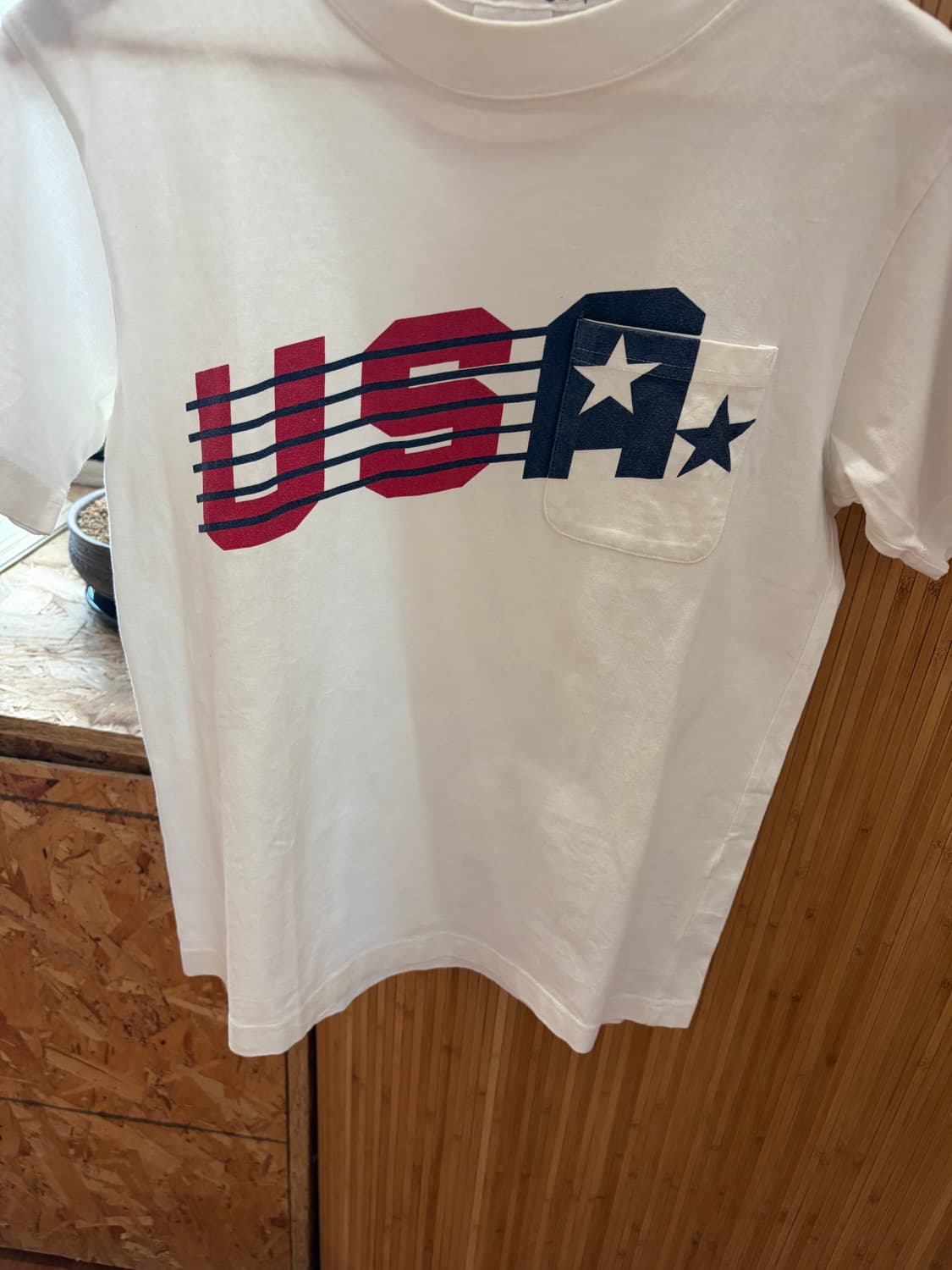 Champion Japan U.S.A T-shirt 상품이미지6