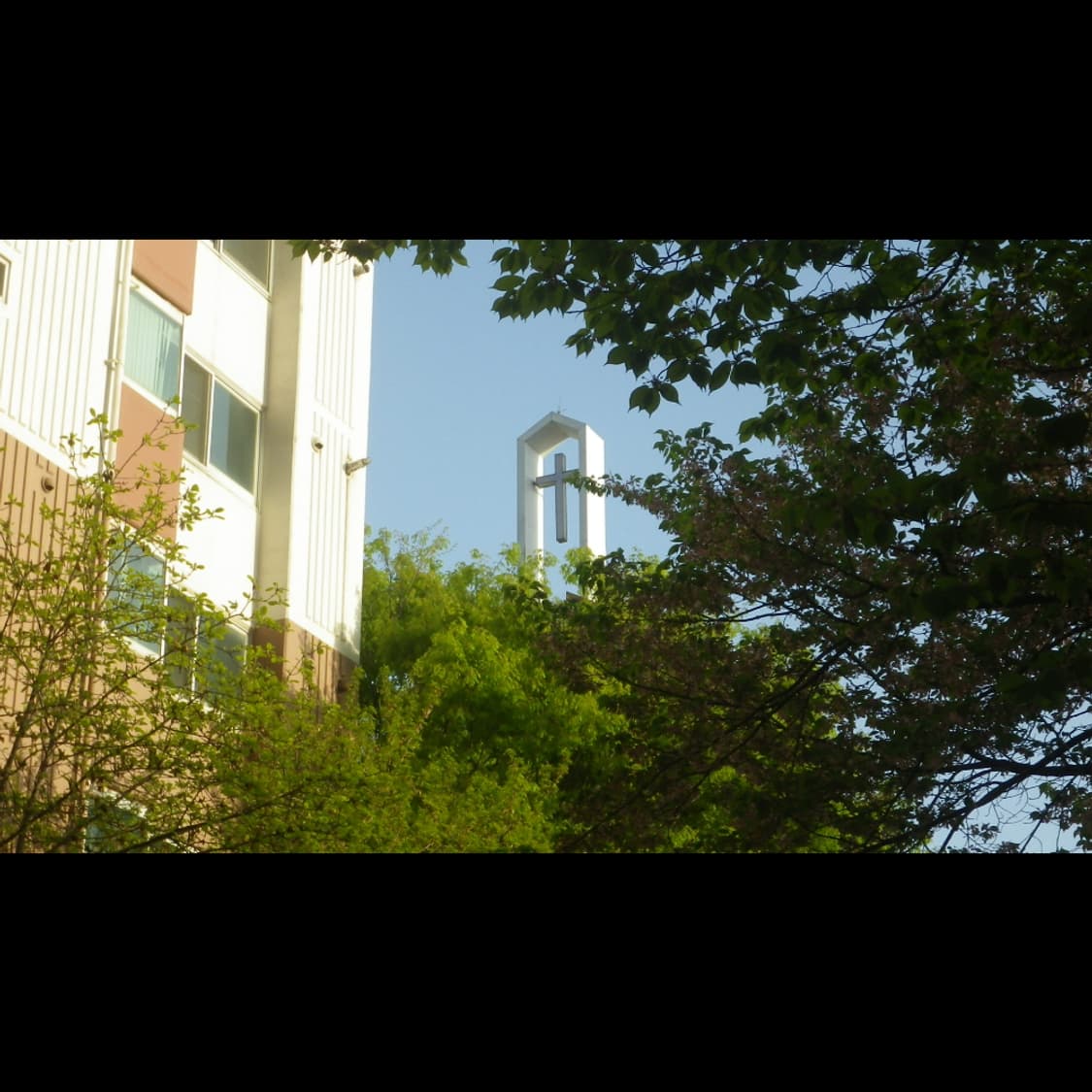 작례⭕️ 펜탁스 옵티오 WG-1 상품이미지8