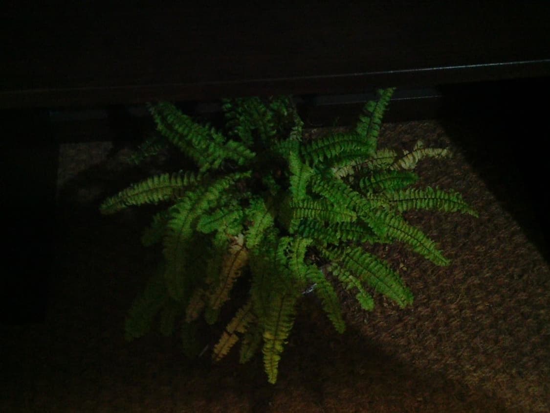 픽시오 jvc picsio gc wp10 방수 카메라 상품이미지5