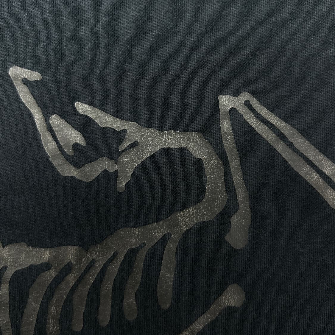 아크테릭스 빅로고 반팔(L) 상품이미지5