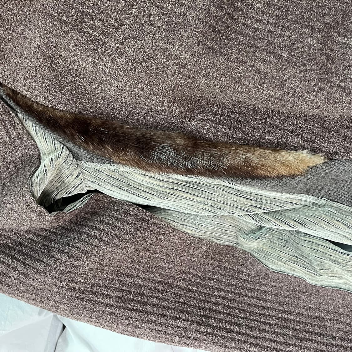 엑슬림 ep8 01 jersey 져지 브라운 상품이미지3