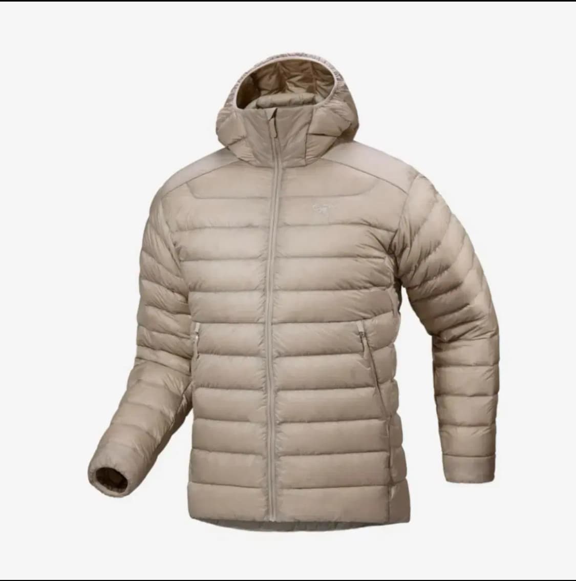 아크테릭스 세륨 후드 룬 색상 상품이미지1