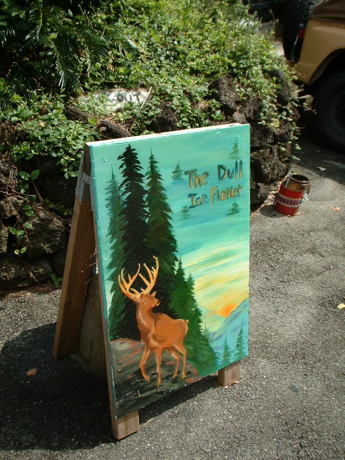 finepix a303 & 빈티지 미사용 일회용 카메라 상품이미지4