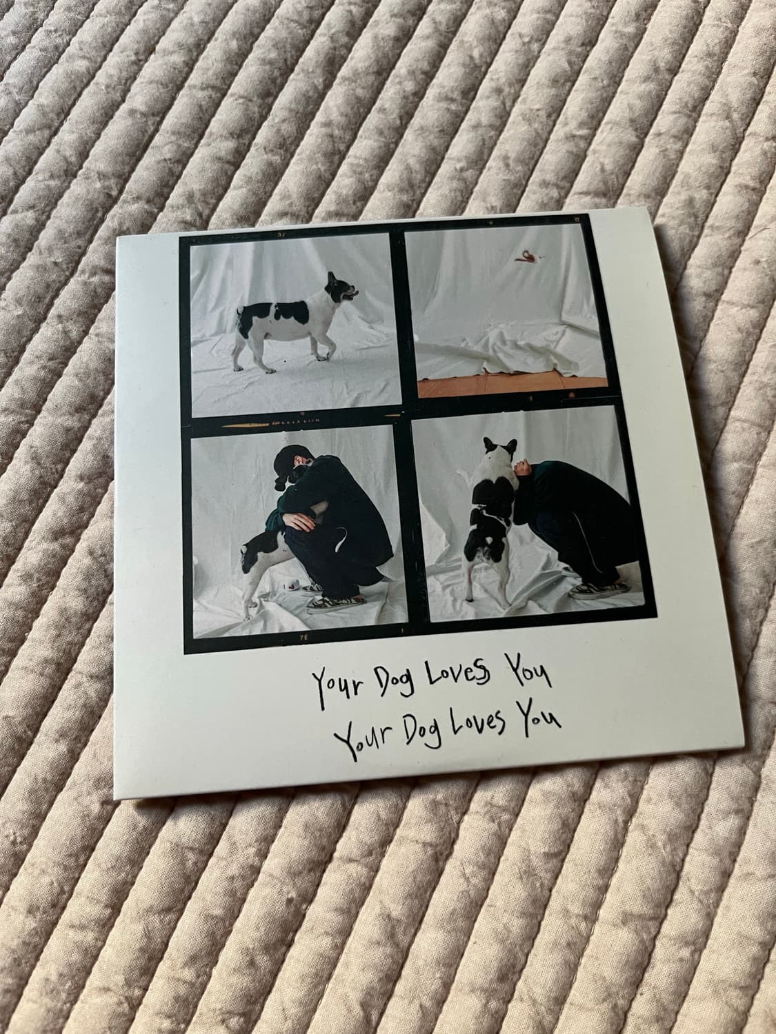 Colde 콜드 Your Dog Love You 앨범 상품이미지1