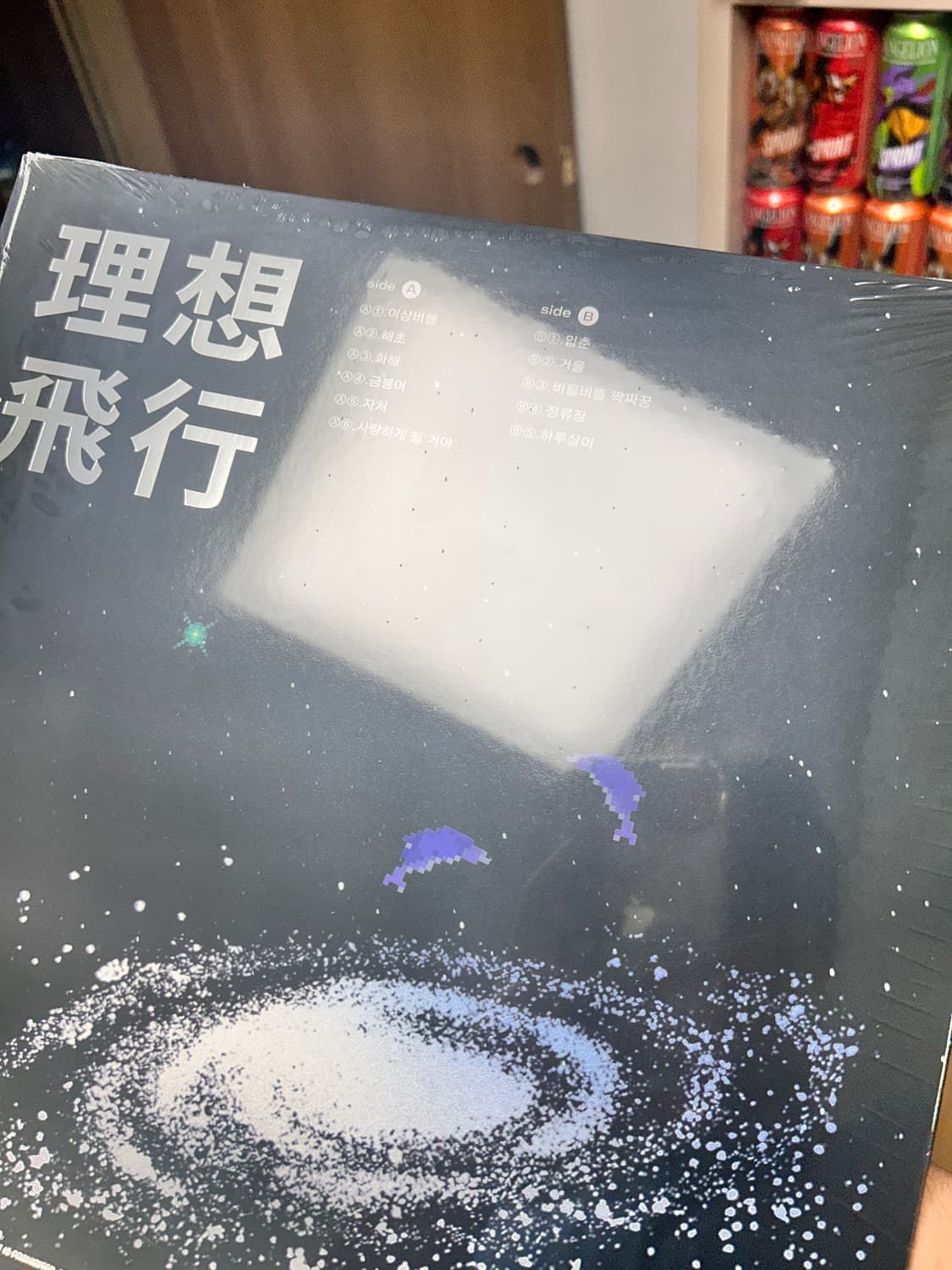 한로로 이상비행 lp 상품이미지2