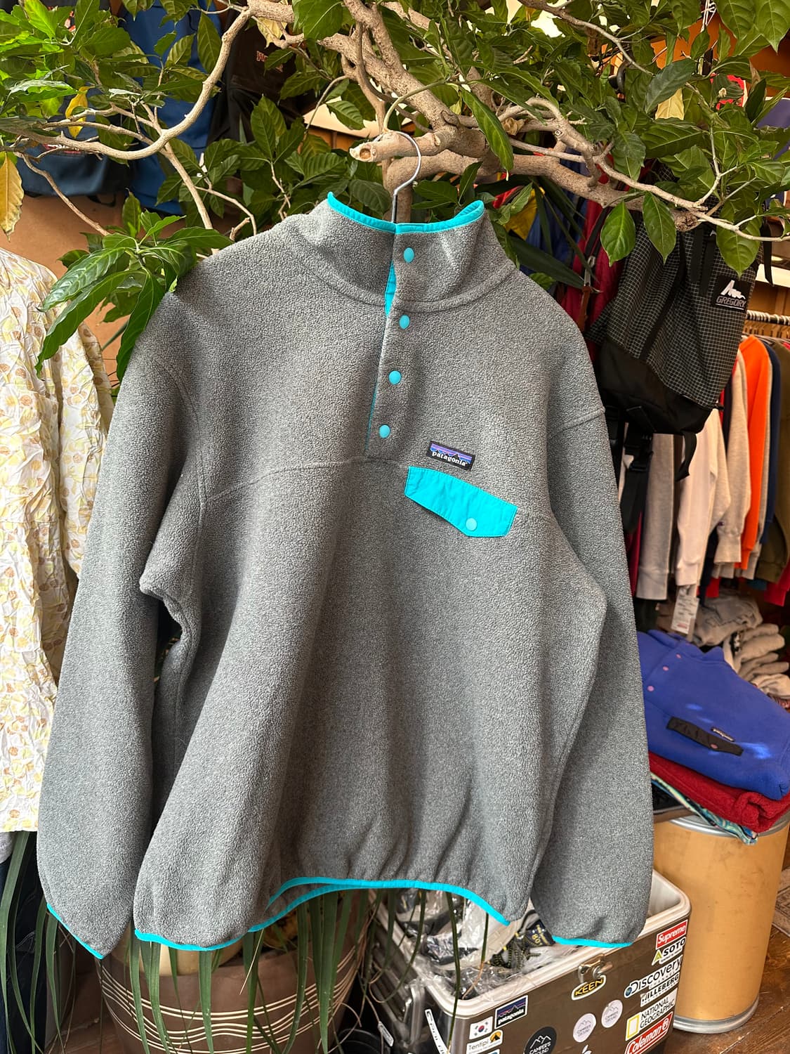 Z_385  파타고니아 신칠라  상품이미지1