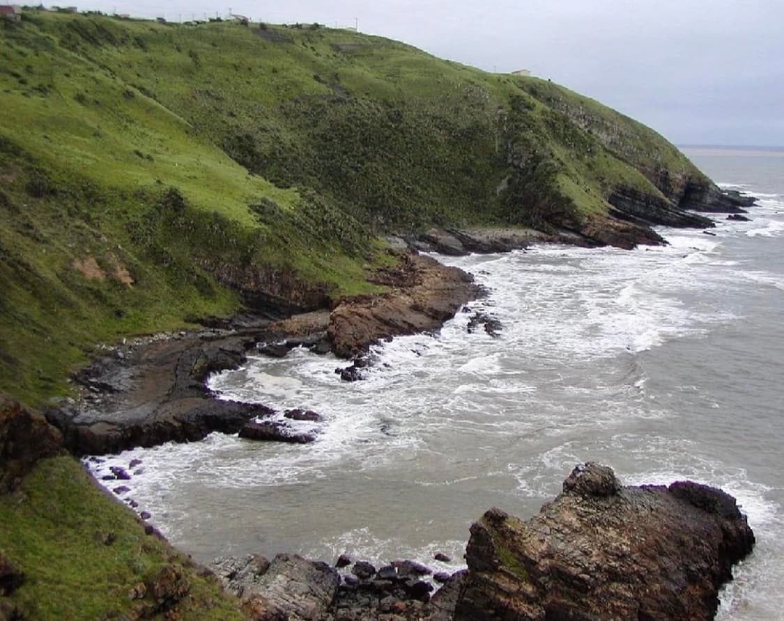 (하이엔드,필름느낌) 올림푸스 카메디아 C-730 💫 상품이미지8