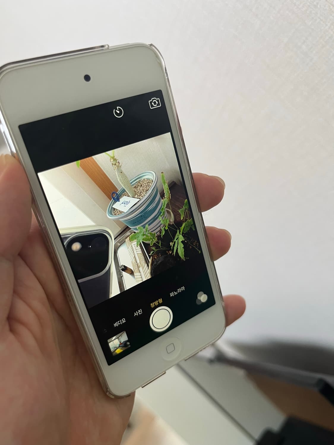 아이팟 터치 실버 5세대 상품이미지5