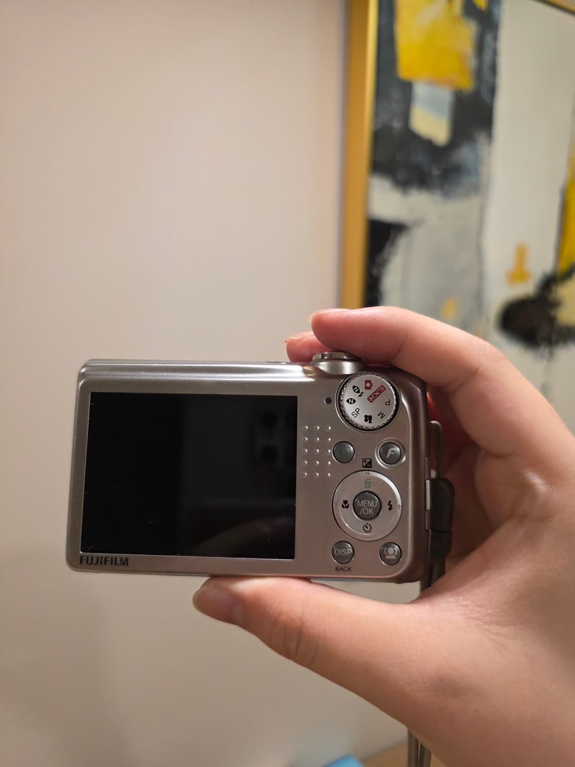 후지필름 FinePix F70EXR 디지털카메라 상품이미지2