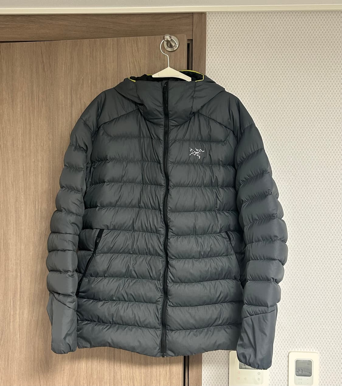 아크테릭스 토륨 후디 상품이미지1