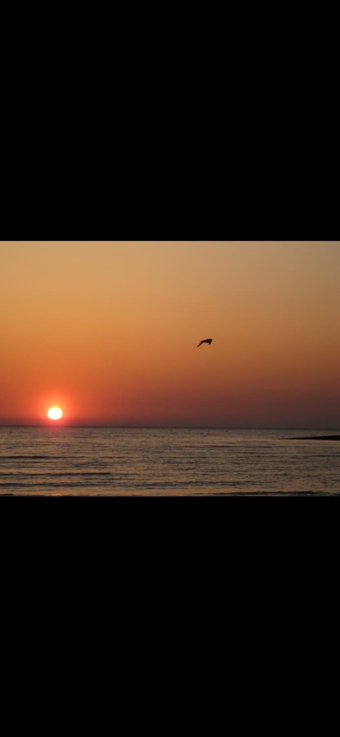 필름색감&강추!) Canon IXUS 80 IS디카 카메라 상품이미지6