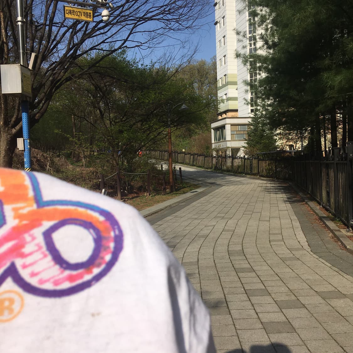 1996s 프룻오브더룸 티셔츠 상품이미지10